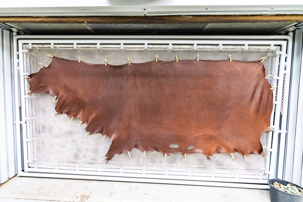 Eine halbe Rinderhaut gegerbt zu Leder hängt an einem Trockengestell. 