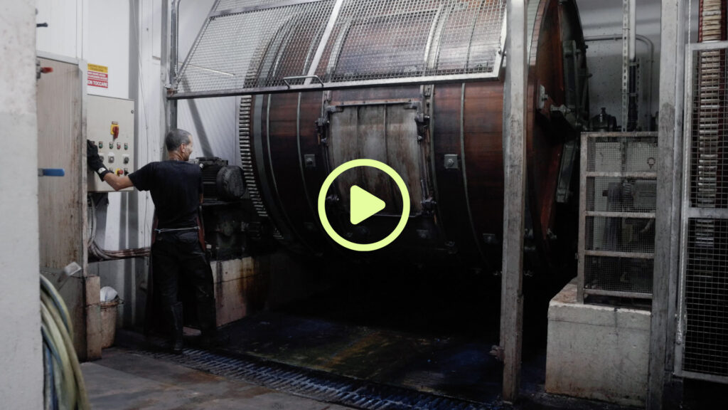 Olivenleder x HAB-TO